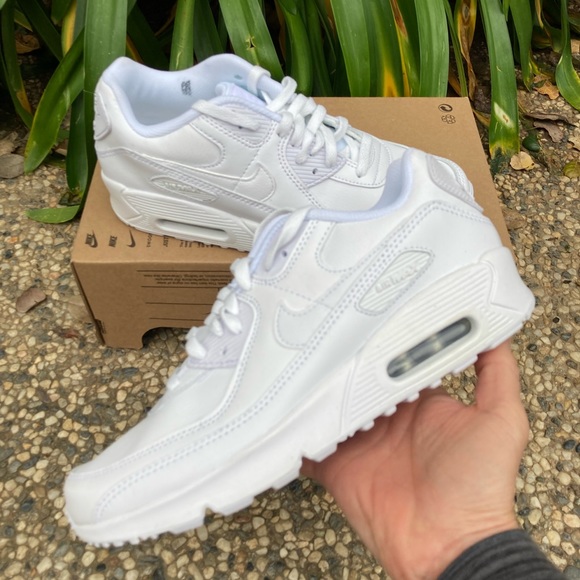 Nike Shoes - Nike Air Max 90 LTR